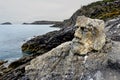 Sculpted rocks of RothÃ©neuf, Saint-Malo